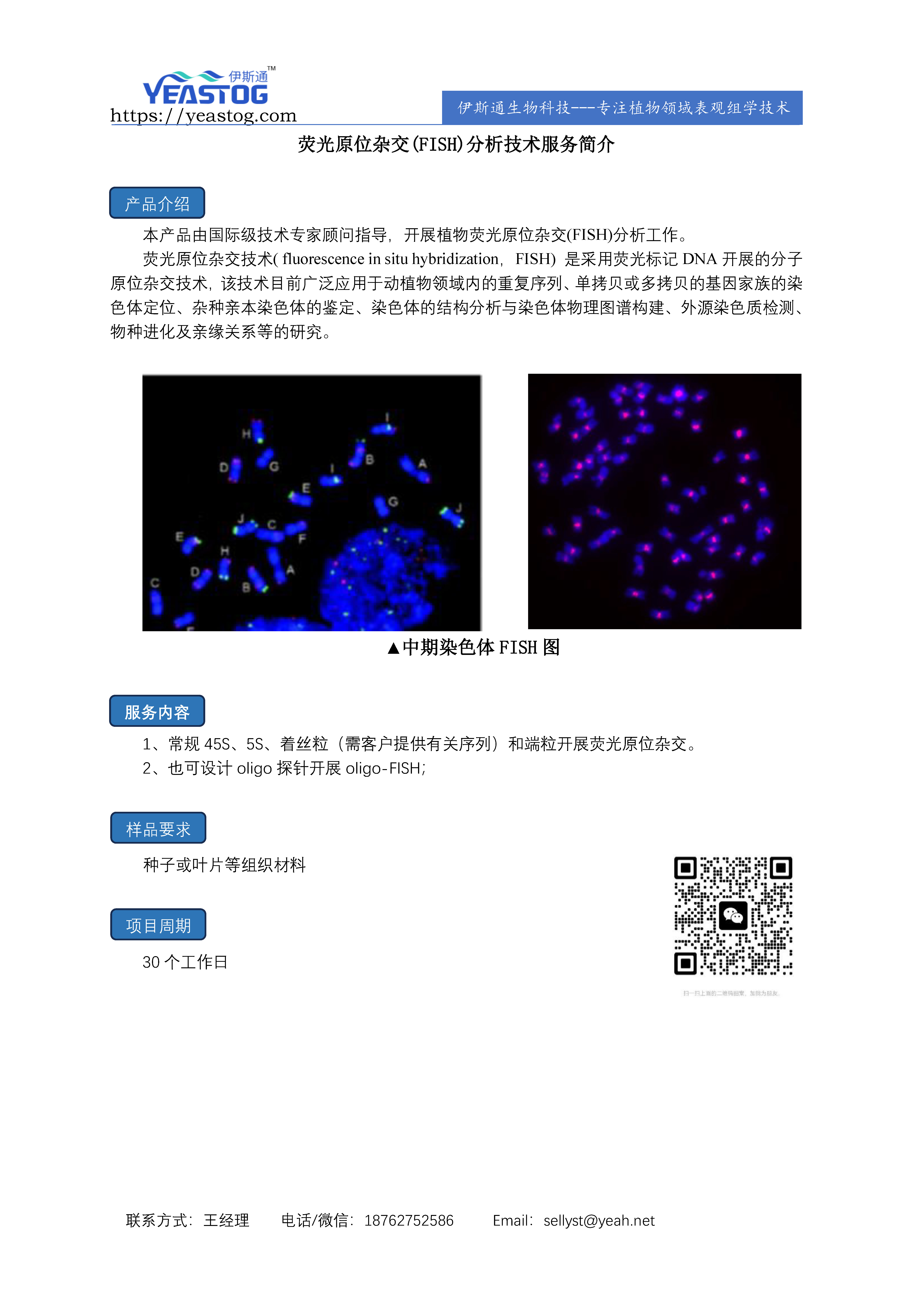 伊斯通生物-FISH分析.jpg