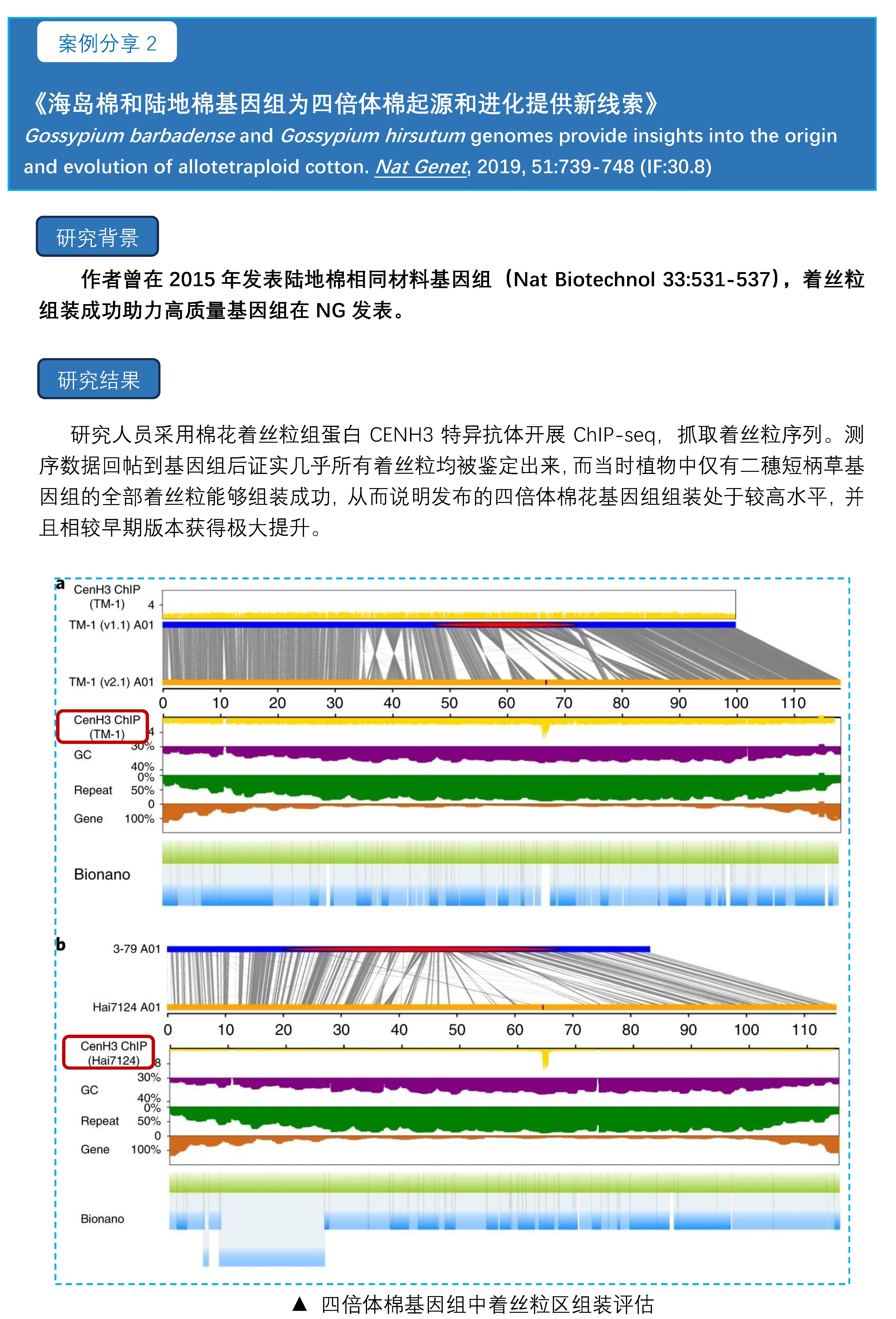 T2T基因组着丝粒分析案例分享2.jpg