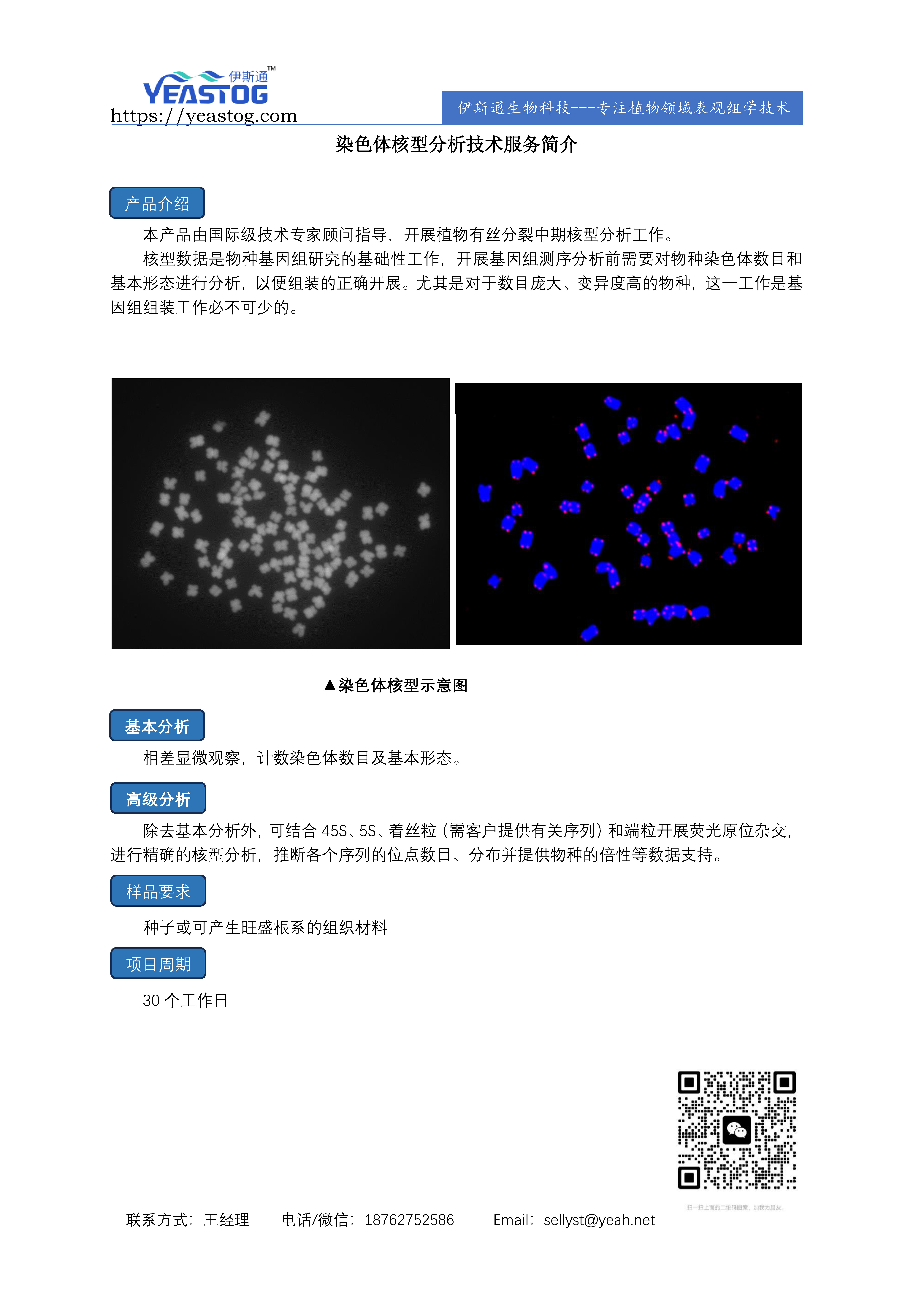 伊斯通生物-核型分析.jpg