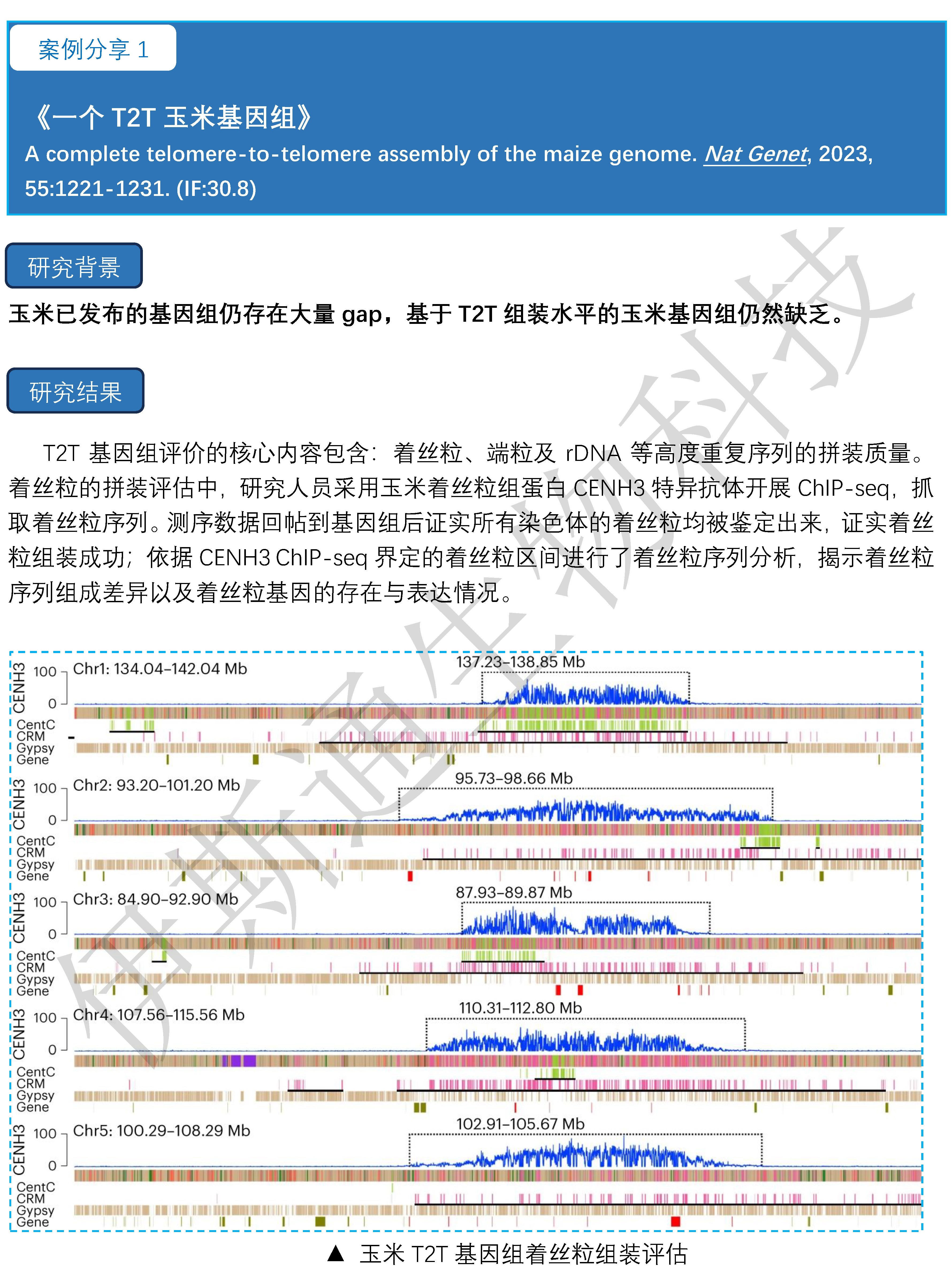 伊斯通生物科技-专业植物T2T基因组着丝粒分析案例分享_1.jpg