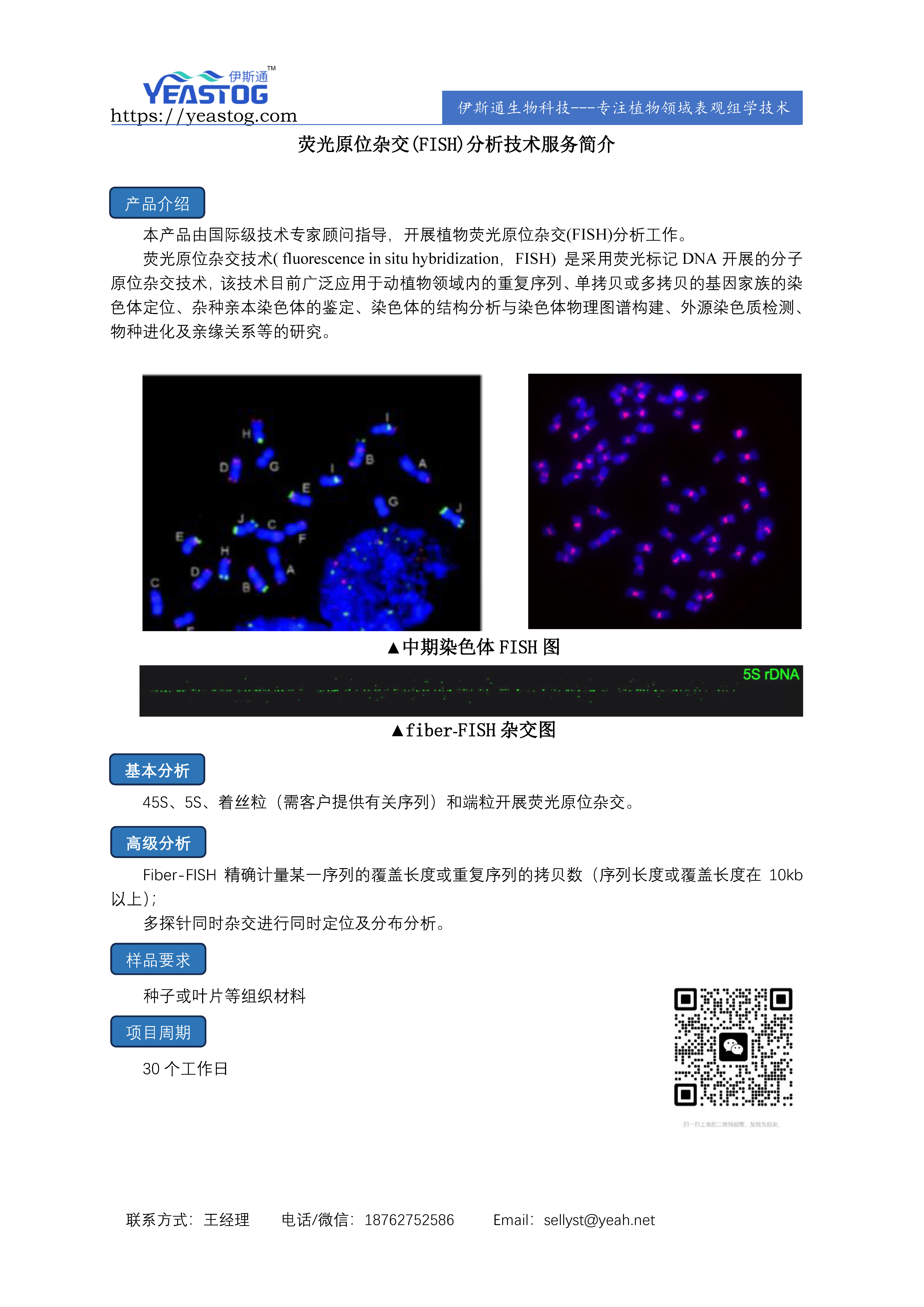 伊斯通生物-FISH分析.jpg