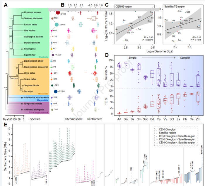 2025-12-24 154001.png