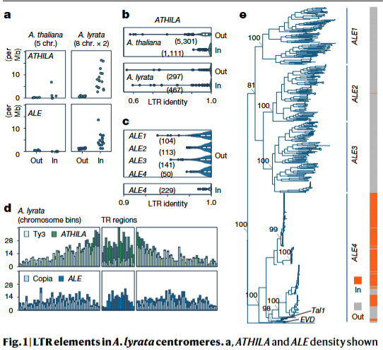 屏幕截图 2025-12-24 164844-1.png