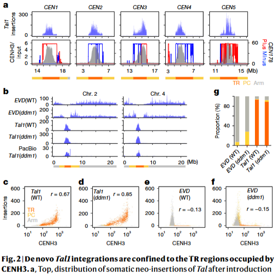 屏幕截图 2025-12-24 164913-2.png